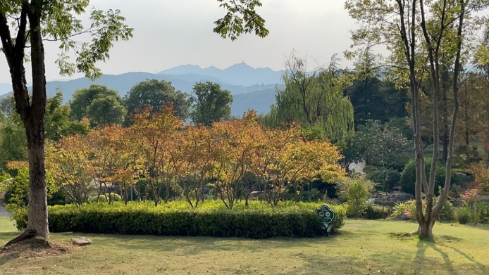 16560445.png 图片6.png